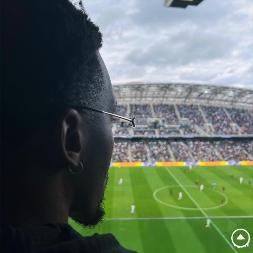 Top Bins artwork